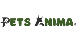 Pets Anima